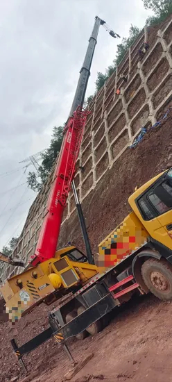 Buena grúa usada 2018 stc 25 tonelan sany truck grule